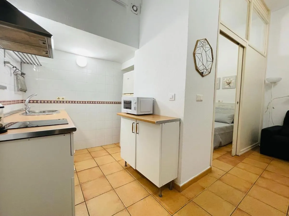 Apartment San Roman. Centrico Y Acogedor. Seville Spain